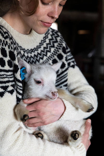 Tukubook: English / Hardcover