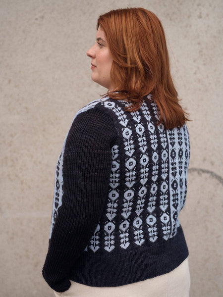 Kindred Knits: Patterns from My Estonian Family Archives: English / Hardcover