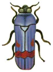 Blue Beetle (1407-C)