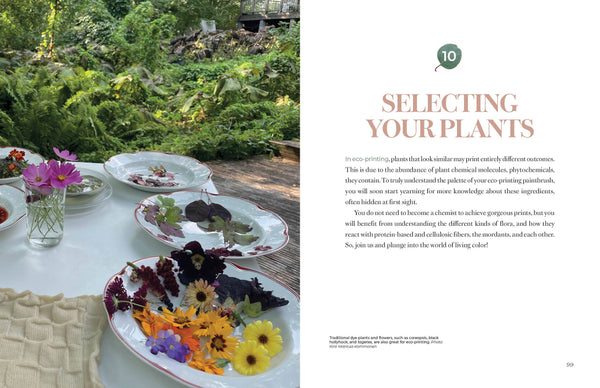 Eco-Print: The Guide to Natural Botanical Printing on Fabric