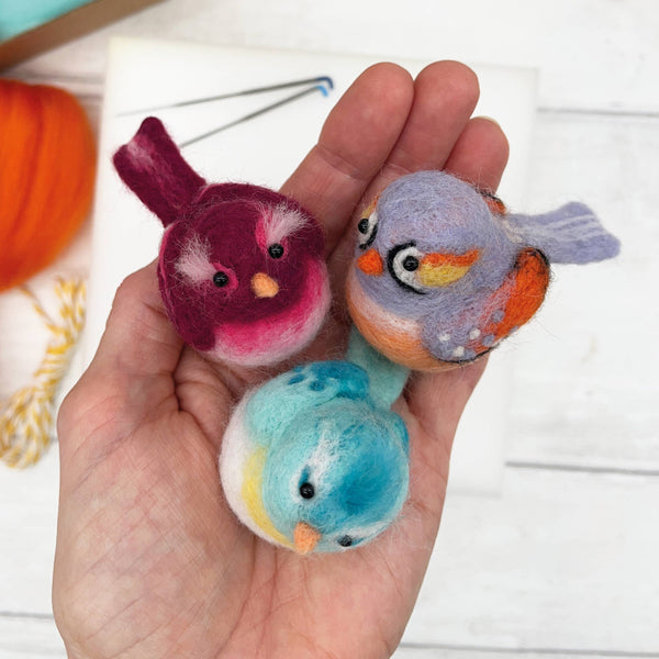 Needle Felting Kit, Baby Birds