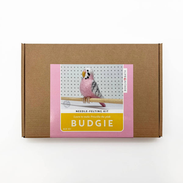 Needle Felting Kit Budgie. Make A Pink Budgerigar From Wool.