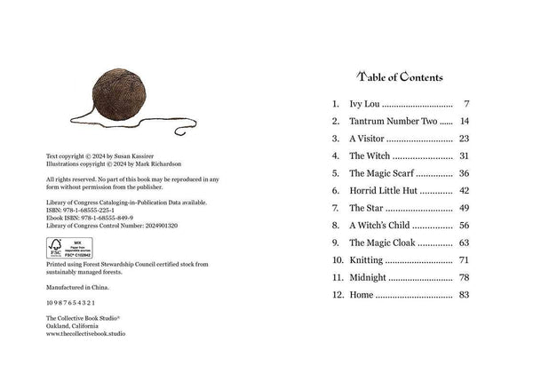 Knitting Witch by Norma Kassirer