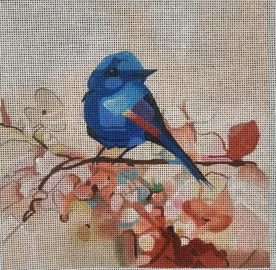 BD-8 Watercolor Birdy 8