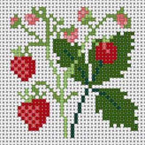 Strawberry (C-031E)