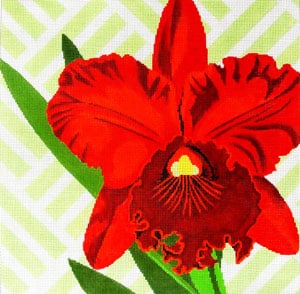 Red Orchid on Spring Green (C-461g)