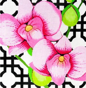 Pink Orchid on Black (C-461k)