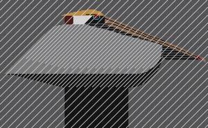 CH-P009 Pelican/Downpour