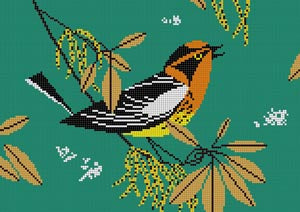 HC-B241 Blackburnian Warbler