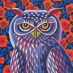 Owl (JTS-01-18)
