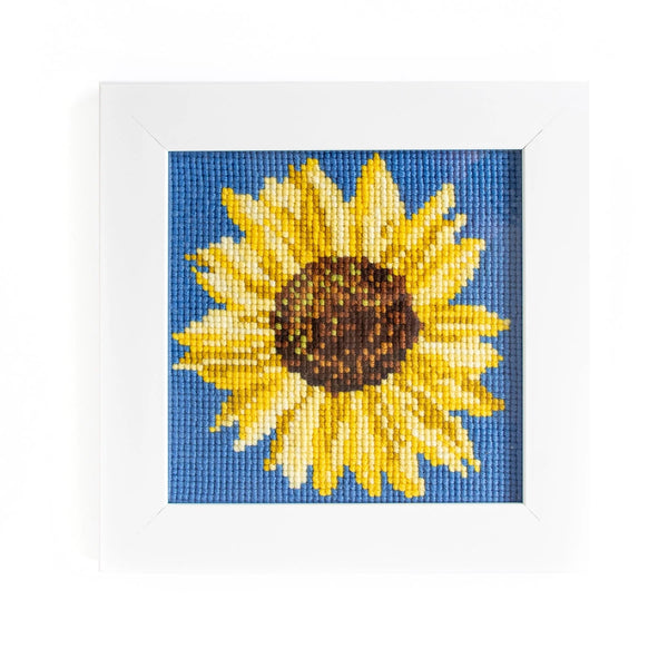 Elizabeth Bradley Mini Kits