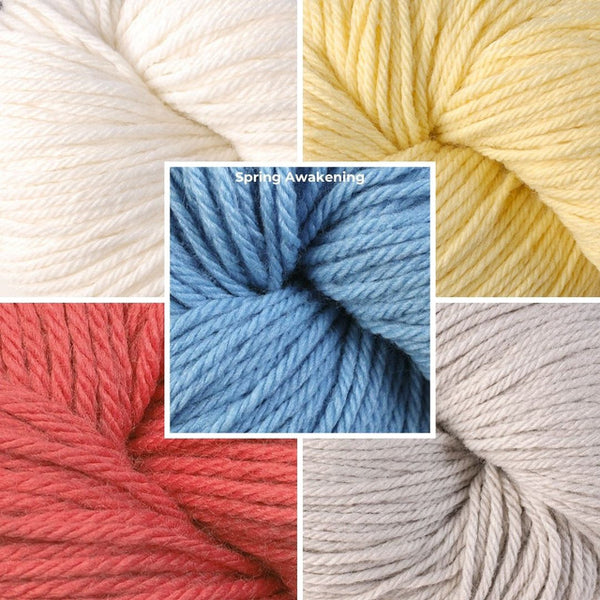 Berroco Mystery Blanket KAL Yarn Kit (7 options)