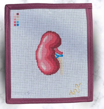 SBS25 Anatomical Kidney