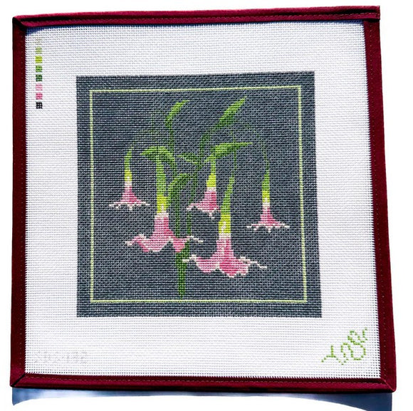 SBS132 Angel's Trumpet