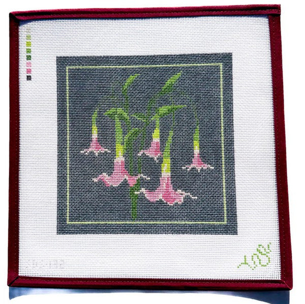 SBS132 Angel's Trumpet