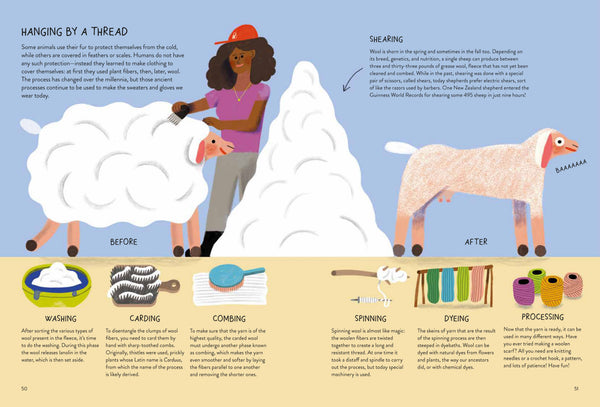 Sheepology