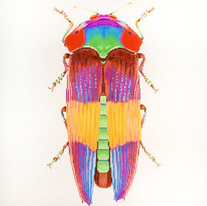 Little Bugs - Rainbow (C-591-DD)