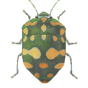 Little Bugs - Green & Yellow (C-591-EE)