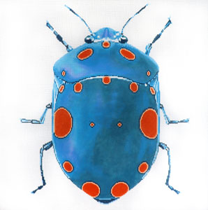 Big Bug teal w/orange dots (C-591h)