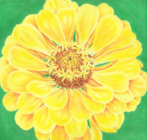 Canary Zinnia w/green background (C-594c)