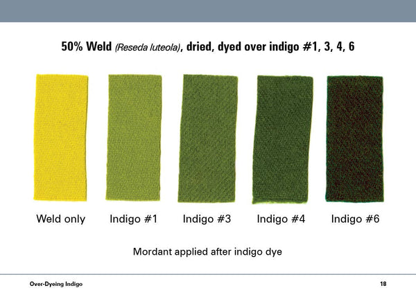 The Studio Formulas Set for The Art & Science of Natural Dye