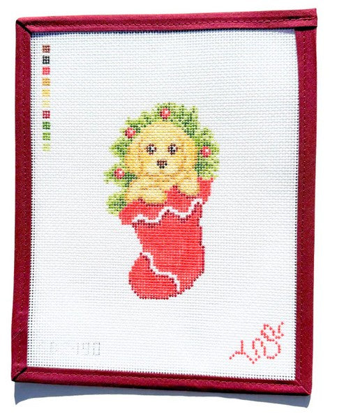 SBS190 Golden in a Stocking