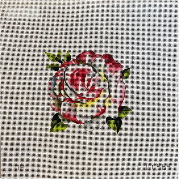 Rose (IN-469)