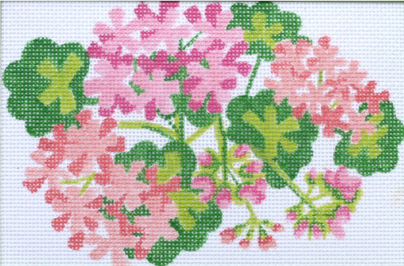Small Geraniums (PL-393)