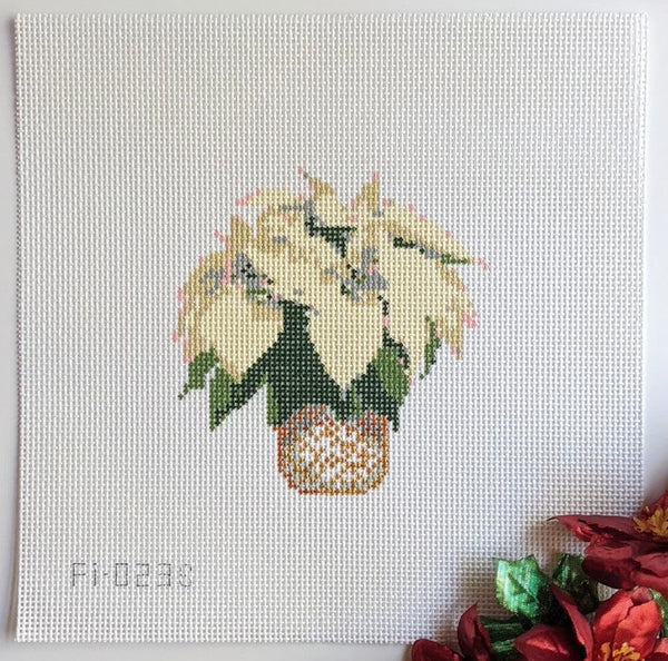 Small White Poinsettia