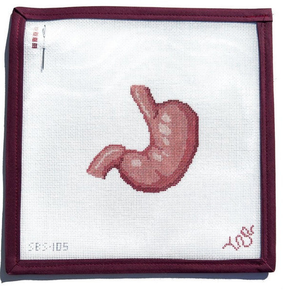SBS105 Stomach