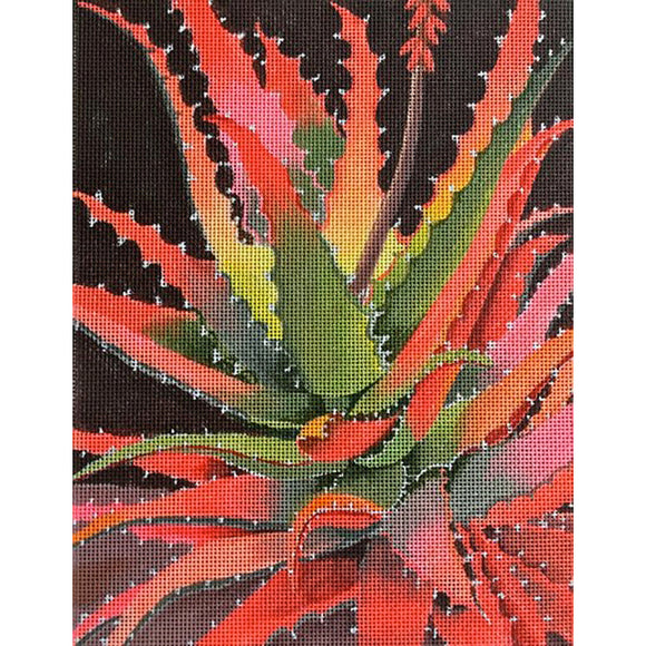 Sunset Agave (PLD-SW-126)