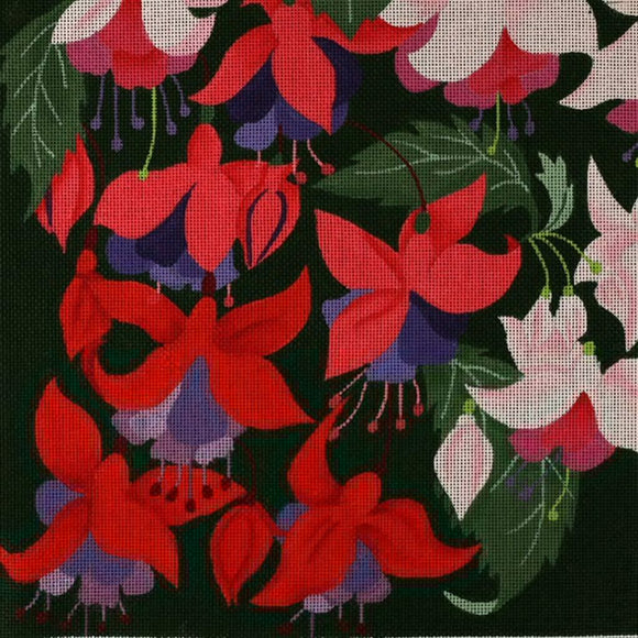 Giant Fuchsia (ED-1060)