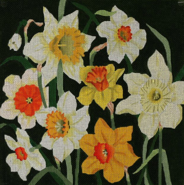 Giant Narcissus (ED-1066)