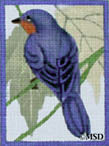 Blue Bird* (568-E)
