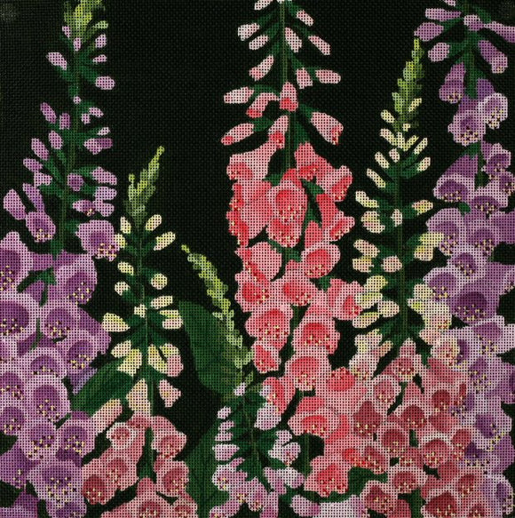 Giant Foxgloves (ED-1153)