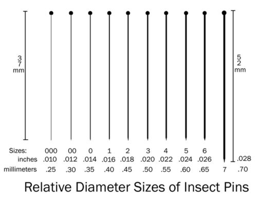 Lacis P-138 Insect Pin, #6 (.026)