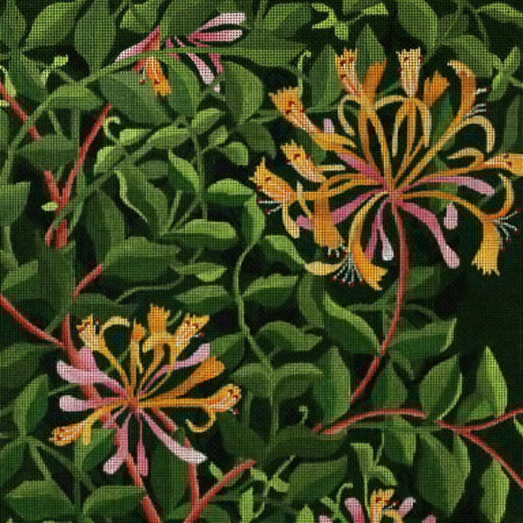 Giant Honeysuckle Vines (ED-1288)