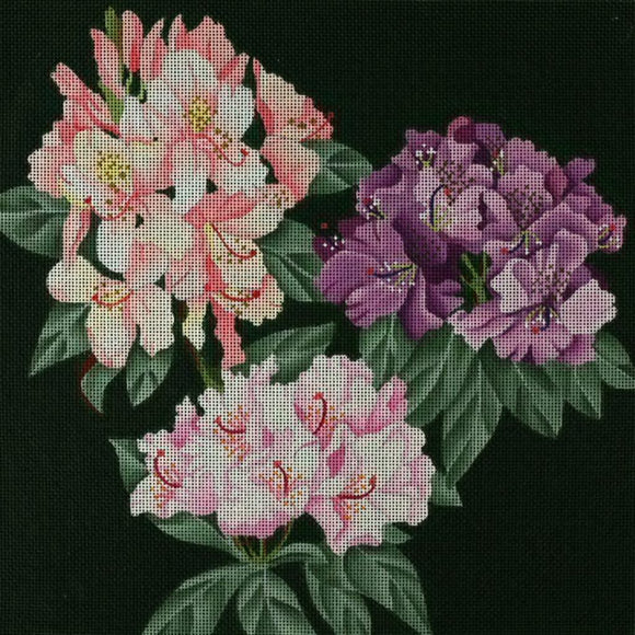 Giant Rhododendron (ED-1312)