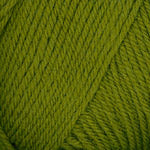 Dreambaby DK 144 Olive