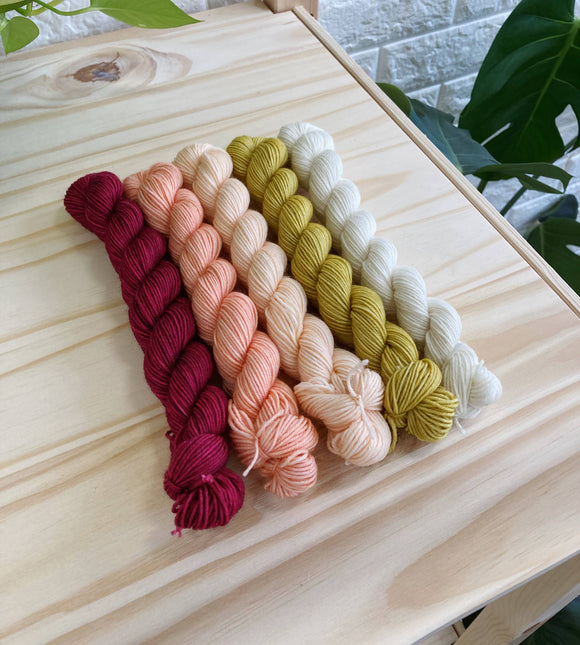 Cottage Sock Yarn • Hand Dyed Mini Skein Set 4