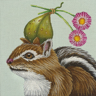 Tatum-Figgy Chipmunk (VS255)