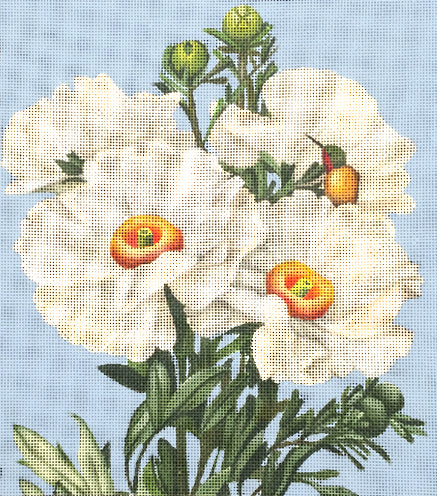 White Poppies (2098)