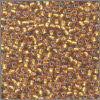 Mill Hill Glass Seed Beads (Color # 2038-2105)