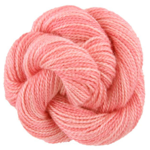 Soy Luster (Color# 102 - 388)