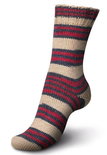 Regia 150g 6 Ply Sock