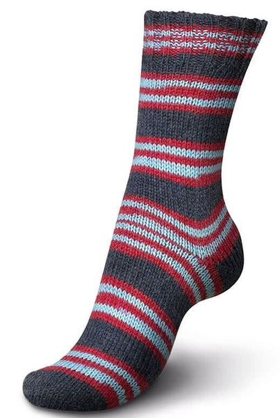 Regia 150g 6 Ply Sock