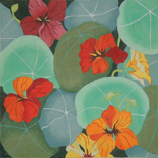 Giant Nasturtiums (ED-879)