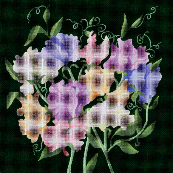 Giant Sweet Peas (ED-8992)