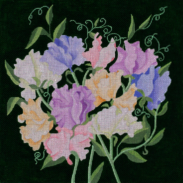 Giant Sweet Peas (ED-8992)