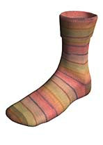 Lang Super Soxx Color 4-Ply